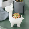 Ceramic Animals