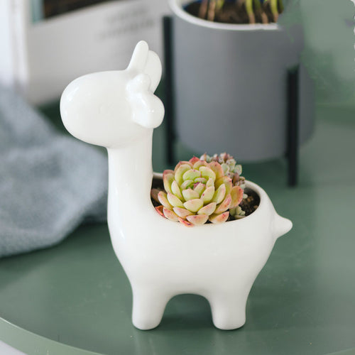 Ceramic Animals